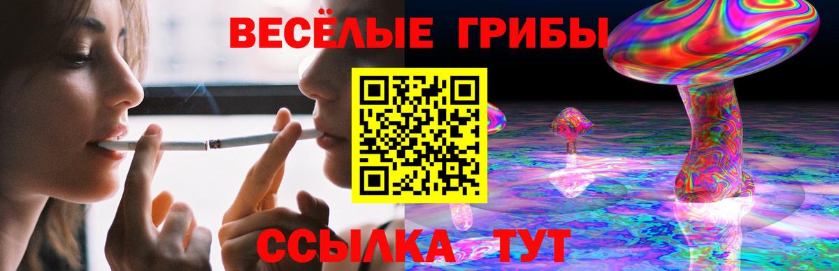Псилоцибиновые грибы Psilocybine cubensis Кондопога