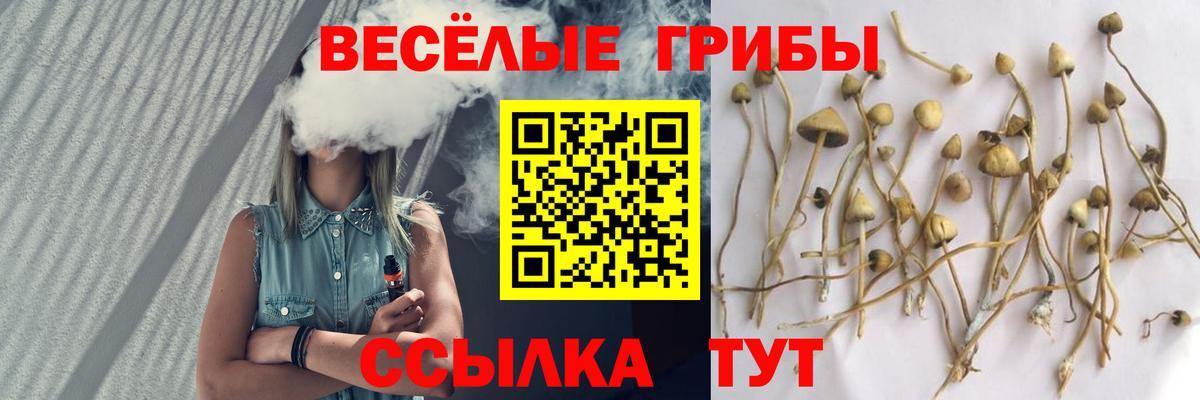 Кондопога  Псилоцибиновые грибы Magic Shrooms  Вход с VPN  Псилоцибиновые грибы мухоморы 